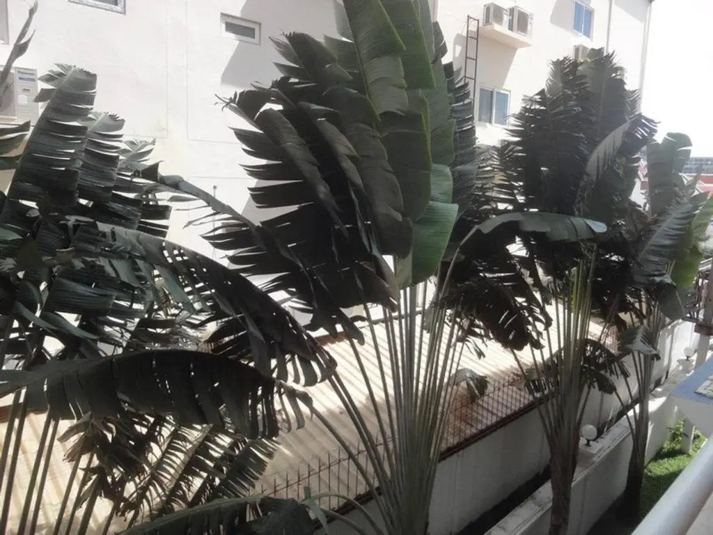 Паттайя: 1 Bedroom View Swimming Pool 316 Jhr