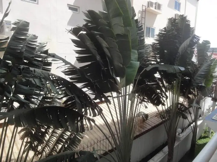 Паттайя: 1 Bedroom View Swimming Pool 316 Jhr