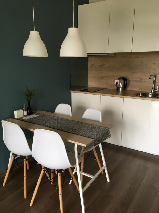 Великий Новгород: Apartment Kolmovskaya 87