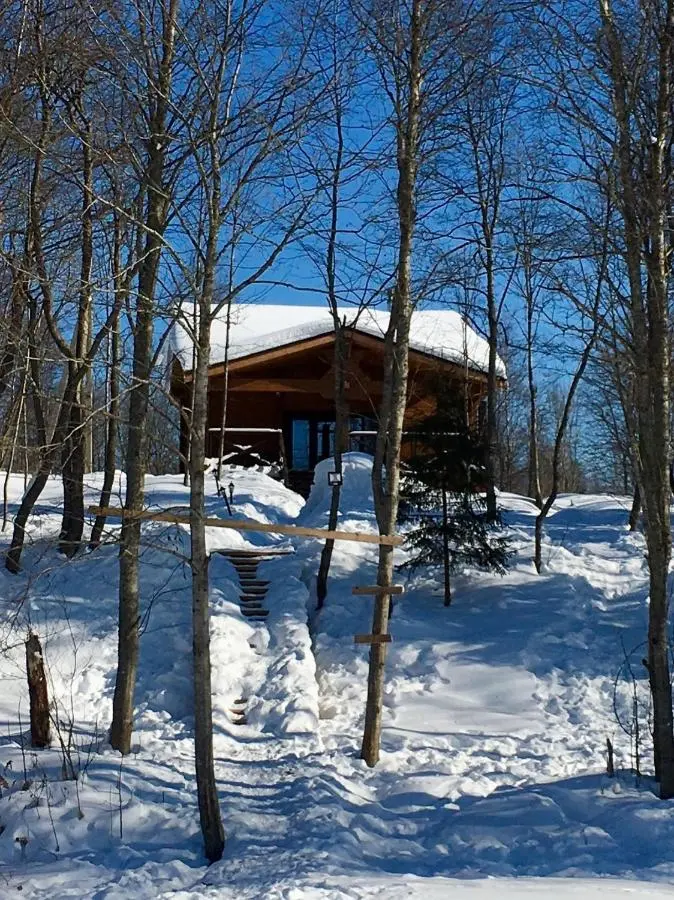 Baynevo: Home in Baynevo