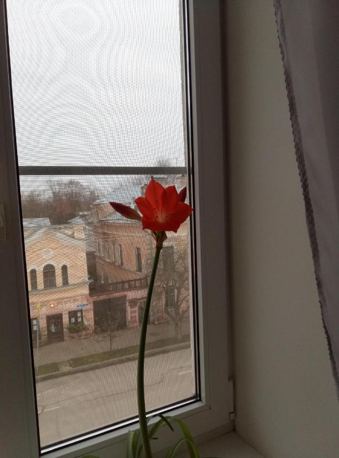 Великий Новгород: Na Ilyina Apartment