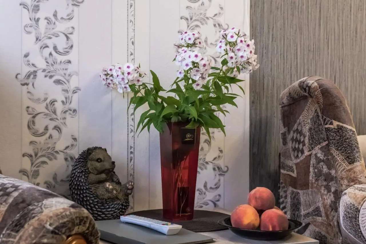 Великий Новгород: Apartments Ivushki