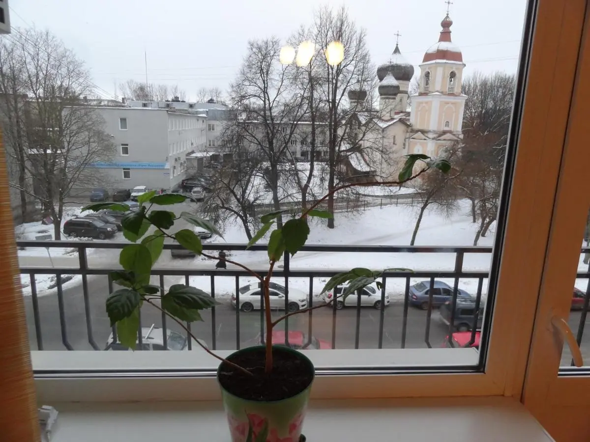 Великий Новгород: Однокомнатная квартира в краткосрочный найм центр города