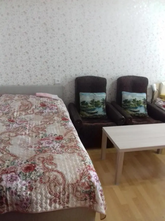 Великий Новгород: Timura Frunze-Olovyanka Apartment