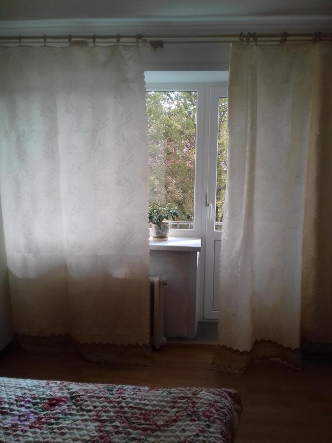 Великий Новгород: Timura Frunze-Olovyanka Apartment