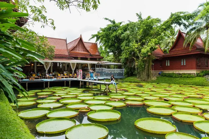 Пхукет: Ma Doo Bua Phuket (มาดูบัวภูเก็ต)