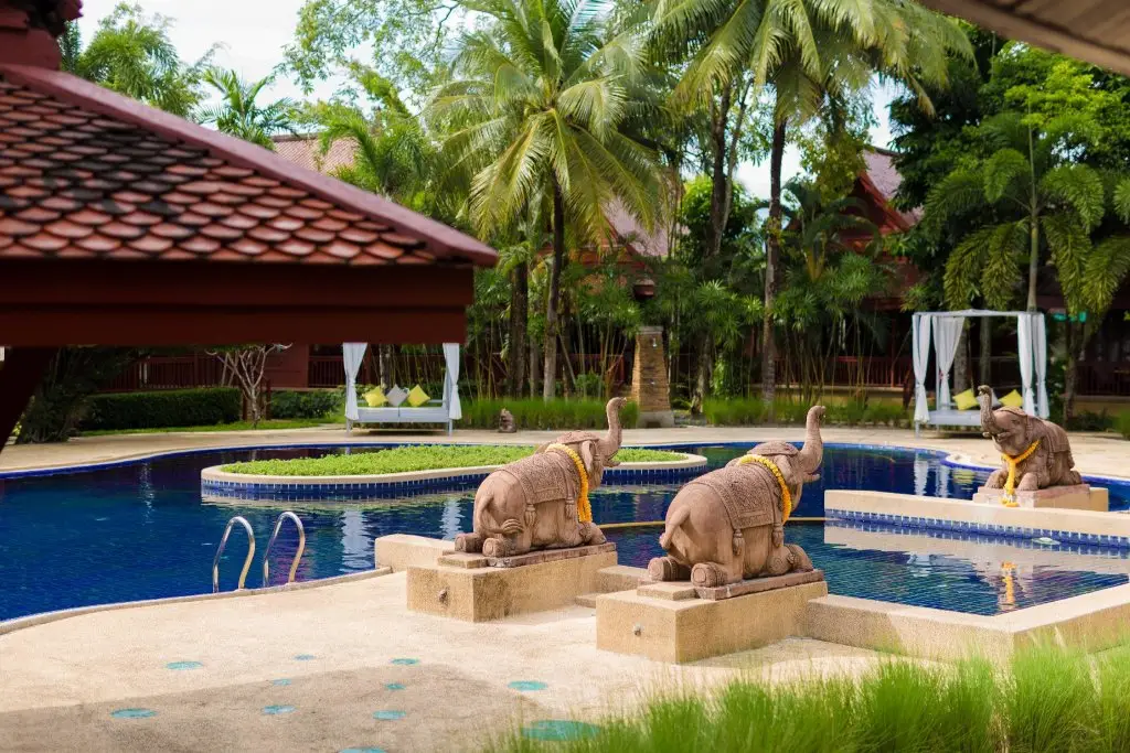 Пхукет: Ma Doo Bua Phuket (มาดูบัวภูเก็ต)