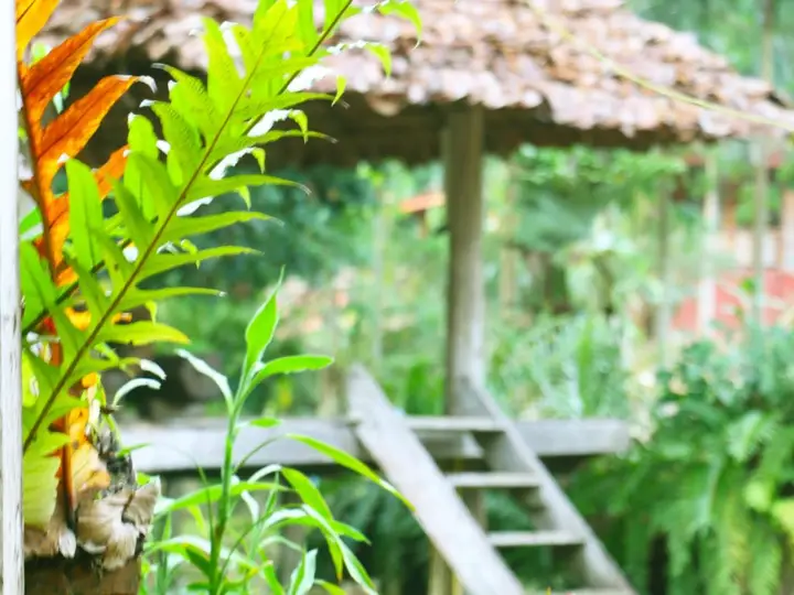 Соп-Поэнг: Siam Pavilion Resort