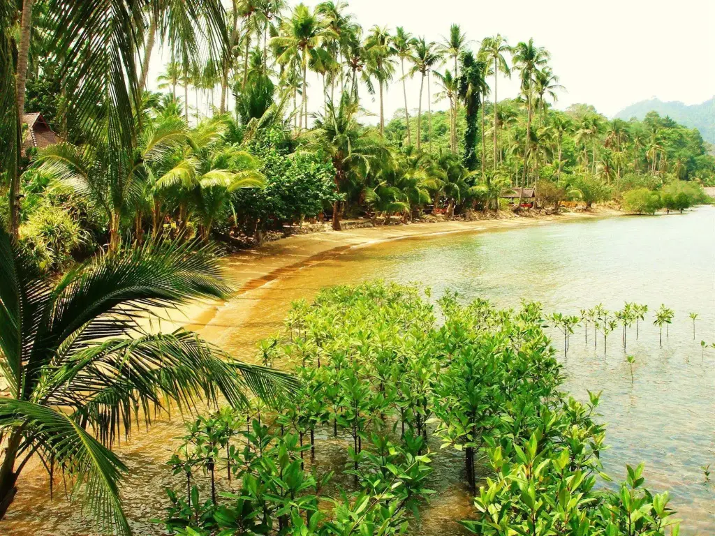 Ко Чанг: Nirvana Resort Koh Chang