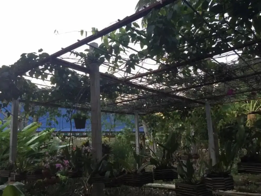 Ампхава: Kruamaeurai Homestay