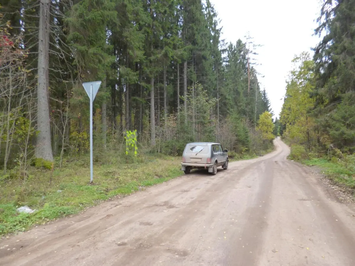 Валдай: International Camp club Bereg Best Beach Stylish Coastline Valdai Lake National Park