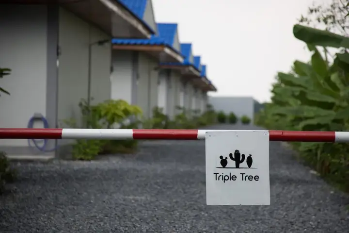 Лам-Лук-Ка: Triple Tree Resort