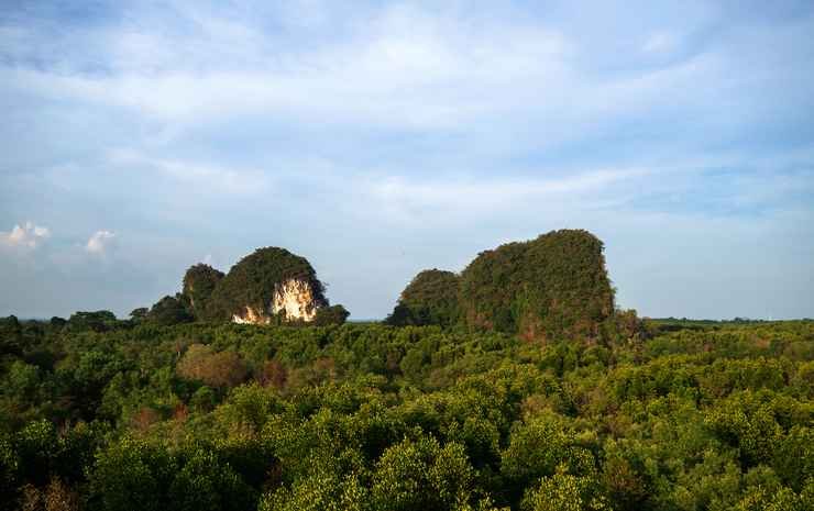 Краби: The Nest Krabi Hotel (SHA Plus+)