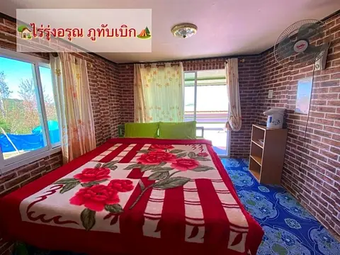 ไร่รุ่งอรุณ ภูทับเบิก — фото 1