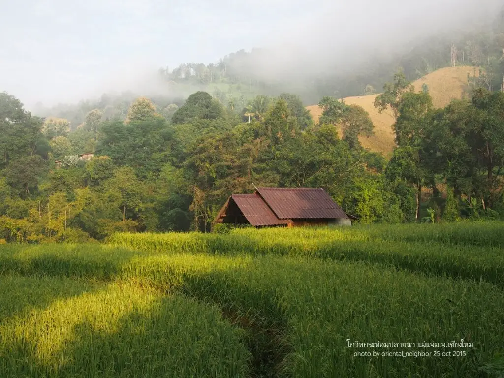 Мае-Ванг: KowitFarmstay