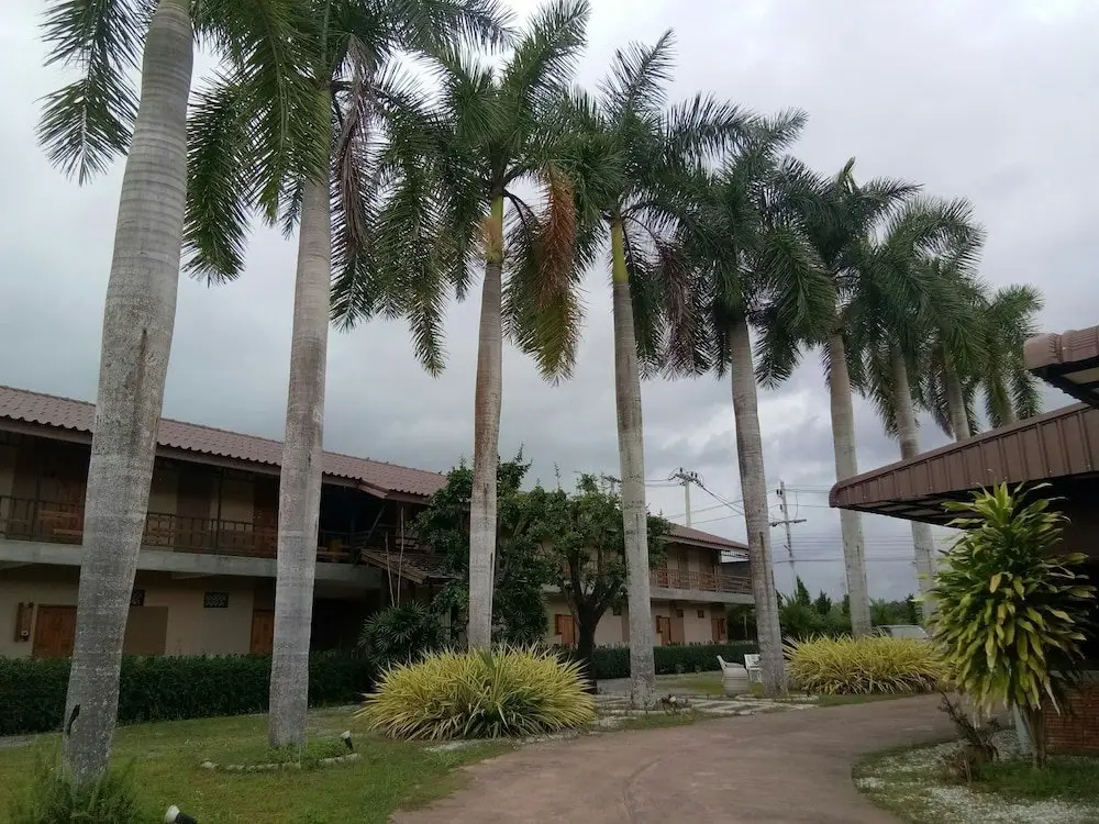 Palm Hug Resort & Camping Homestay — фото 1