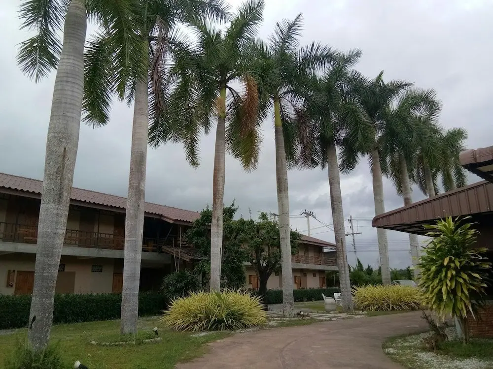 Бан Па Бонг: Palm Hug Resort & Camping Homestay