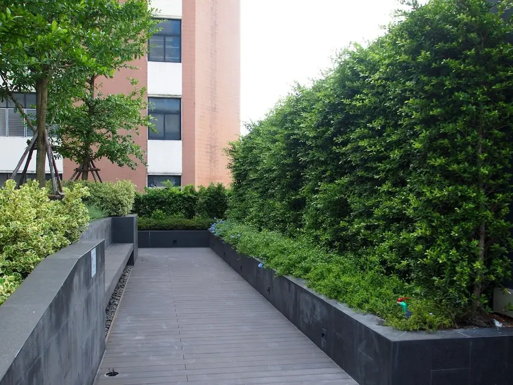 Бангкок: The Quarter Hotel Ladprao