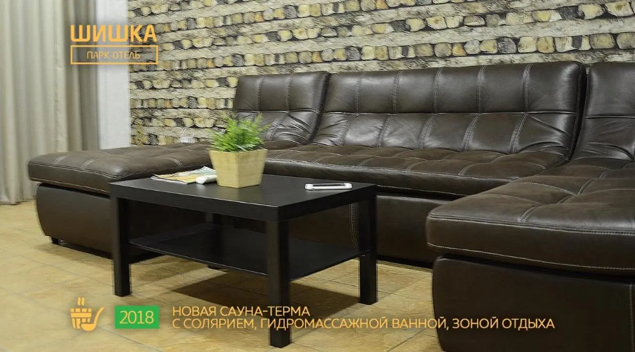 Новосибирск: Park Hotel Shishka