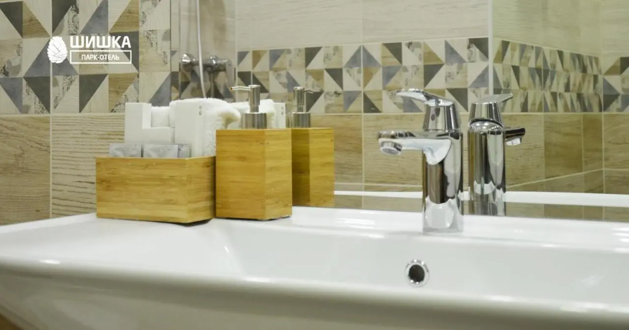 Новосибирск: Park Hotel Shishka