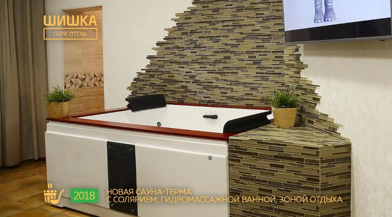 Новосибирск: Park Hotel Shishka