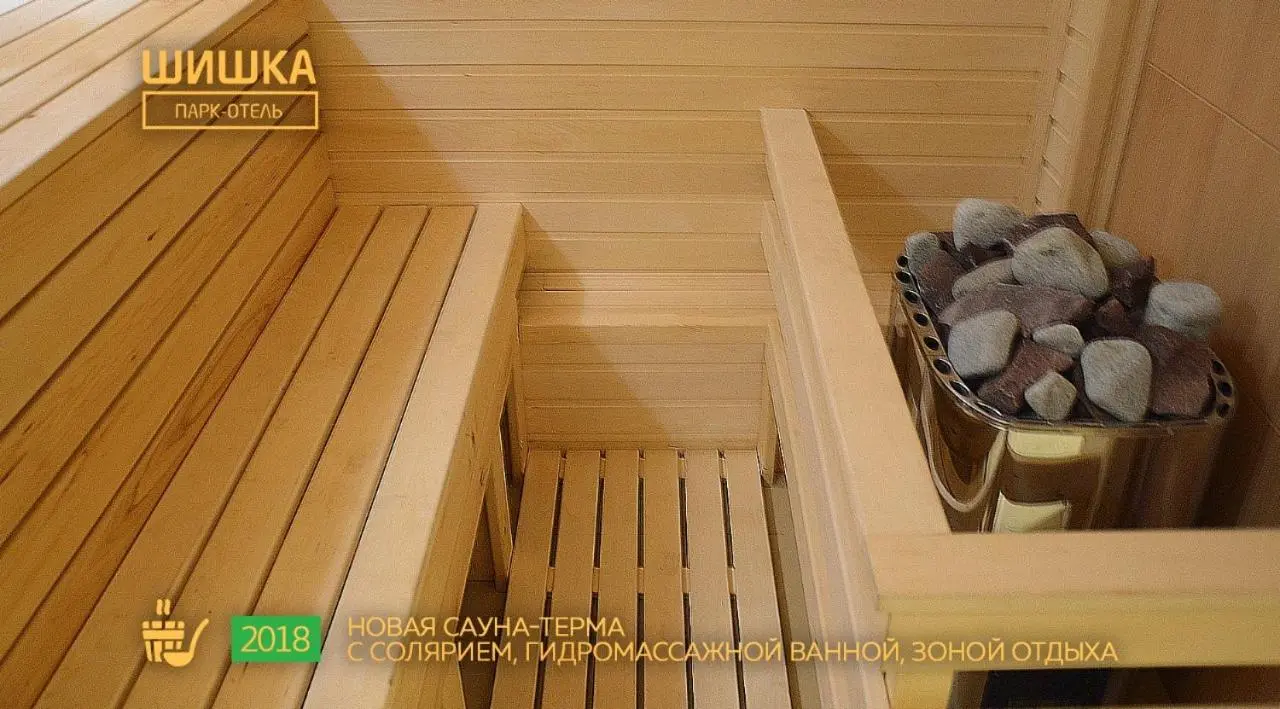 Новосибирск: Park Hotel Shishka