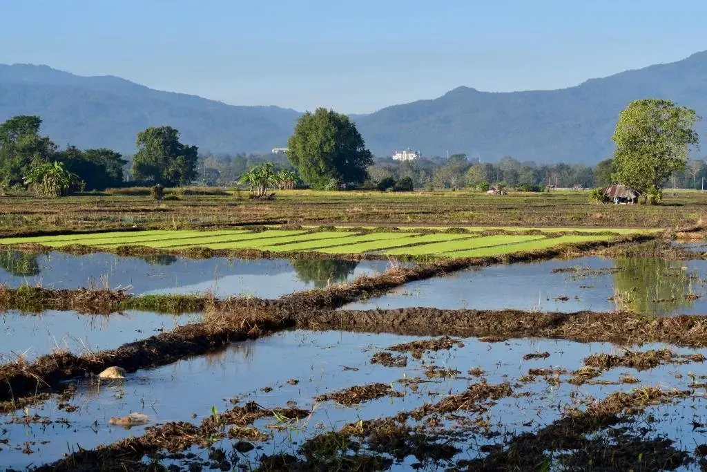 Маерим: Baan Tung Boon Lom