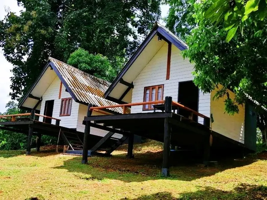Jungle Guesthouse — фото 1
