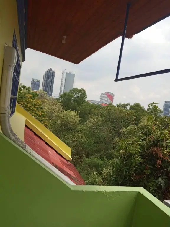 Паккрет: Big Mango@88 House