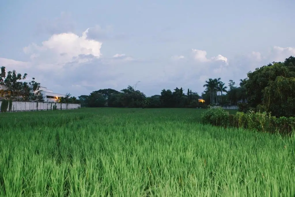 Ханг Донг: Baan Tonglong Homestay