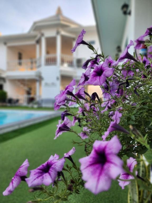 Чаам: Bianco House Resort