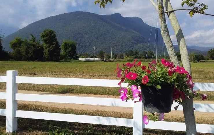 Чианг Дао: Ban Thung Talay Mok Chiang Dao