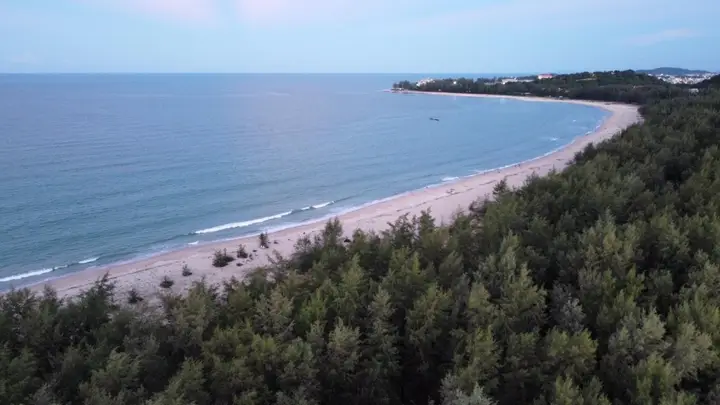 Сонгкхла: The Pine Songkhla (SHA Extra Plus)