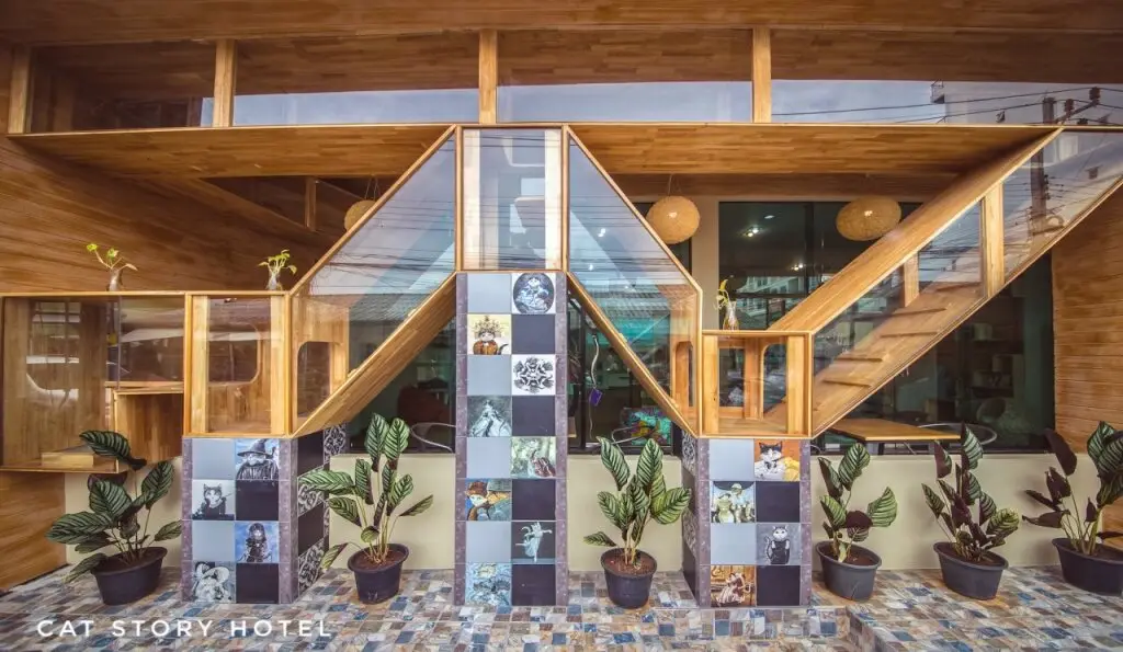 Кату: The Silk View Hotel