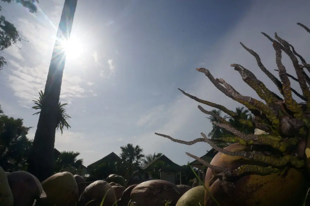 Самуи: Baannoksuan Resort Samui