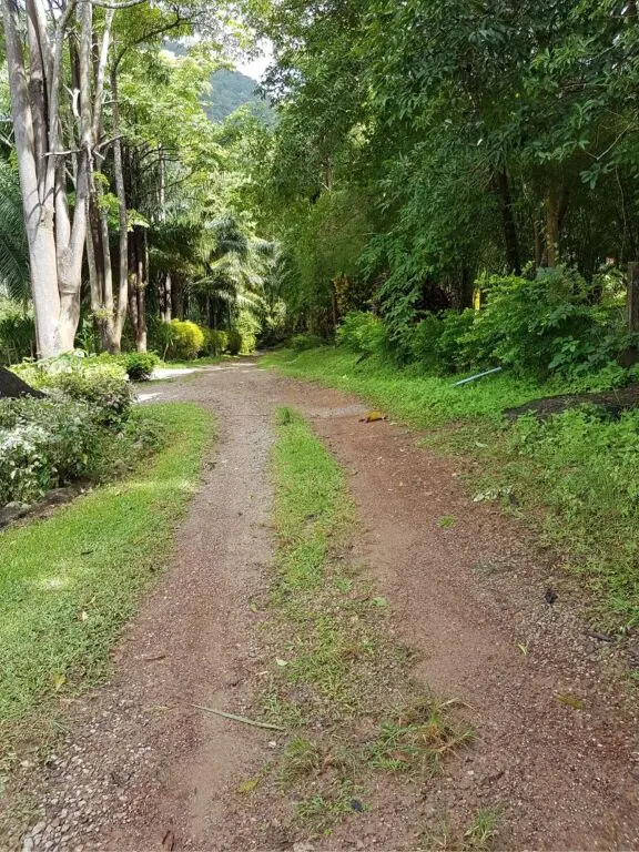 Краби: Phanom Bencha Mountain Resort
