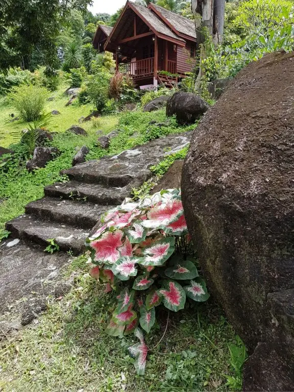 Краби: Phanom Bencha Mountain Resort