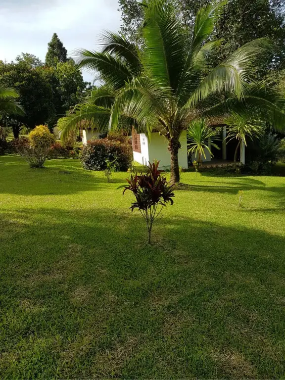 Краби: Phanom Bencha Mountain Resort