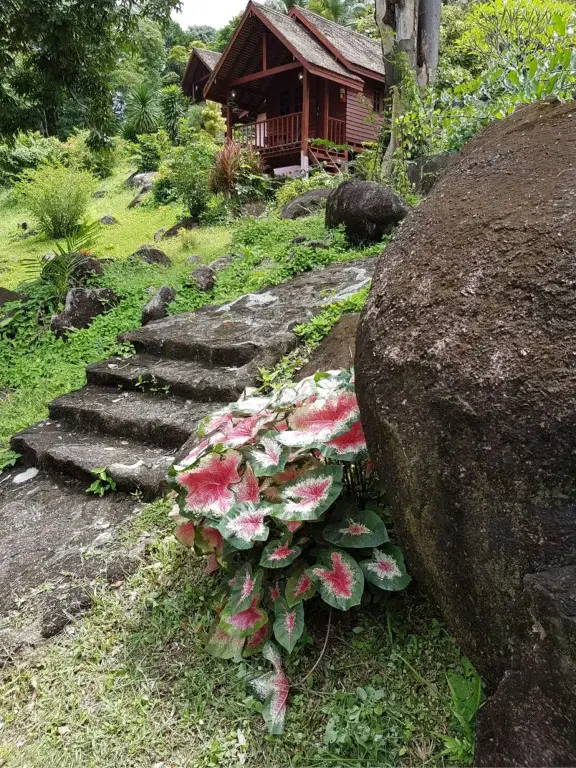 Краби: Phanom Bencha Mountain Resort