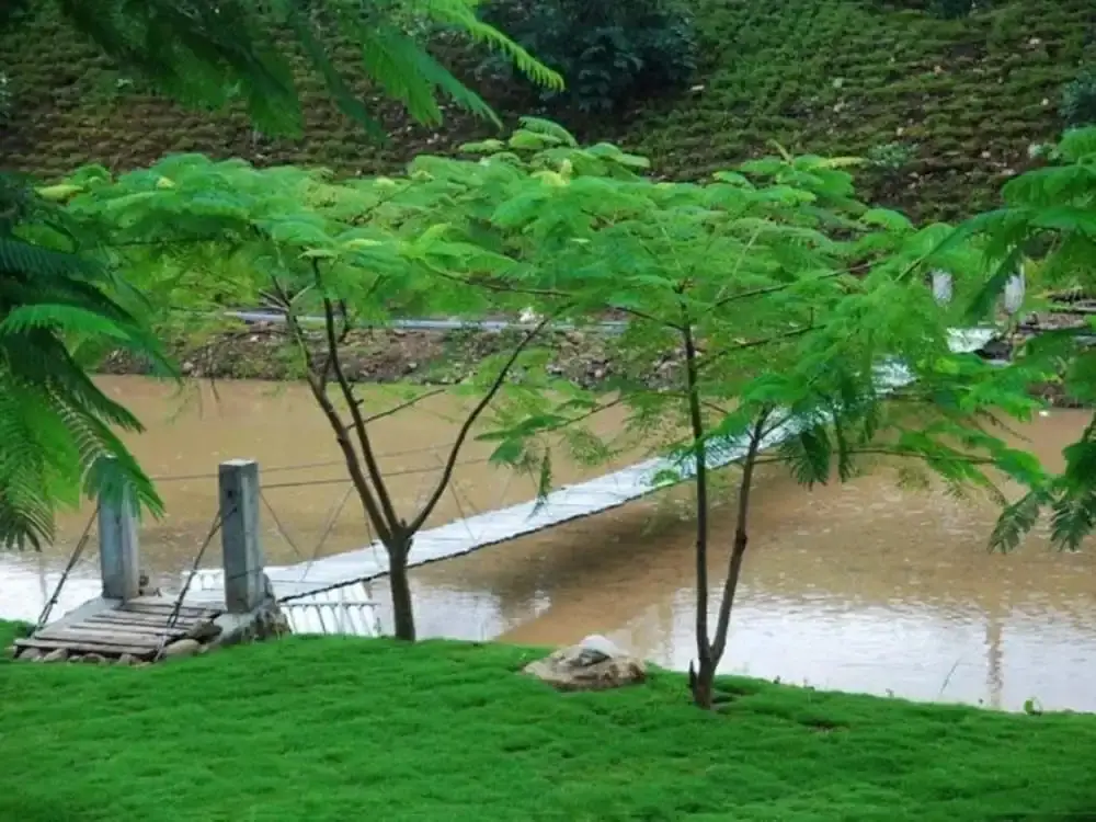 Суан Фуэн: Ban Rai Pornsawan