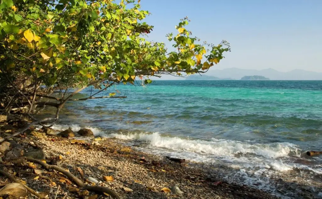 Ко Чанг: Rommai Chailay Resort & Seafood