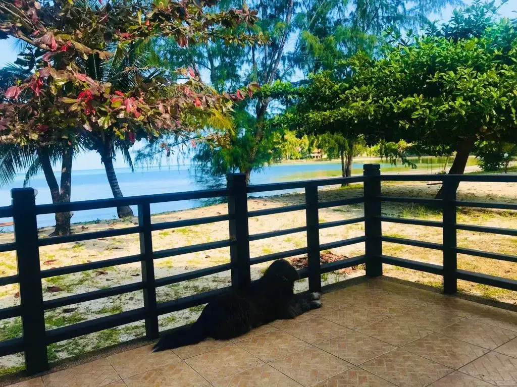 Самуи: Phangka Paradise Resort