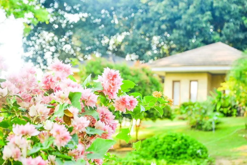 Каенг Крачан: Namoon Namsai Resort