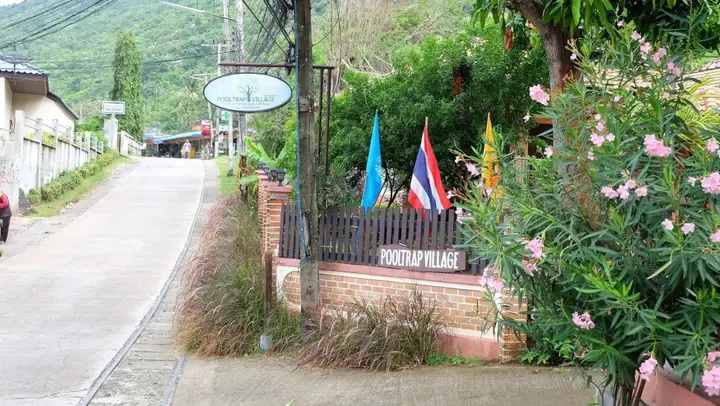 Ко-Пханган: Pooltrap Village Bungalow