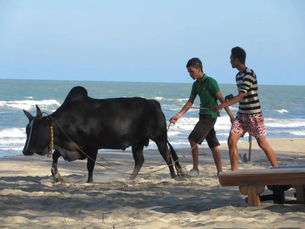 Сатхингпхра: Ao Thai Resort