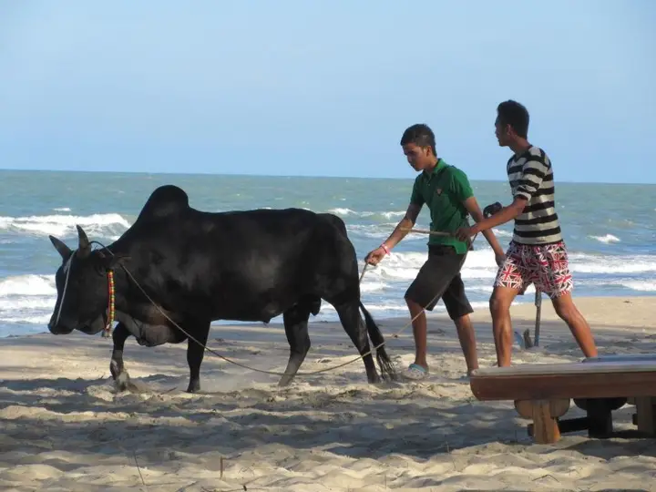 Сатхингпхра: Ao Thai Resort