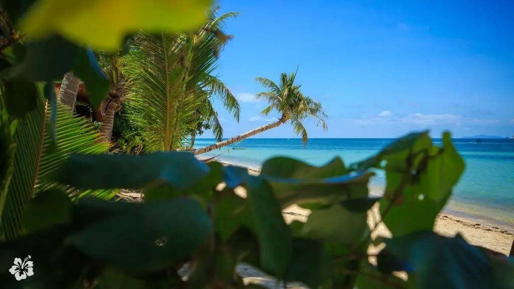 Ко-Пханган: Seaflower Bungalows