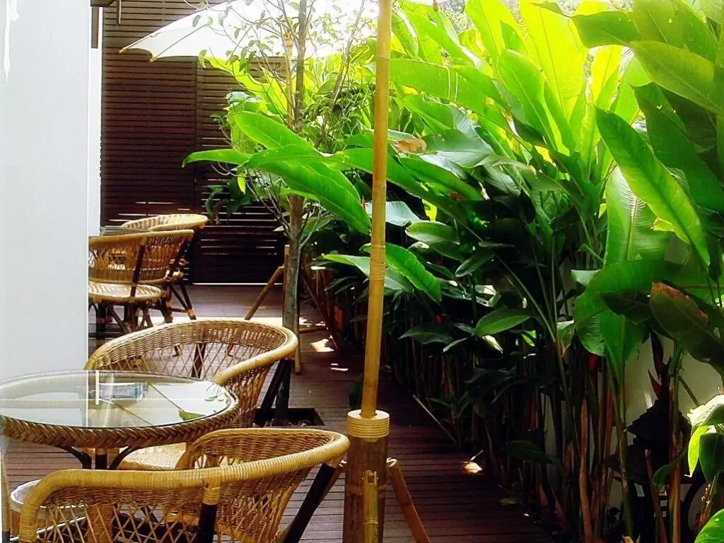 Чиангмай: Ping Phu Place