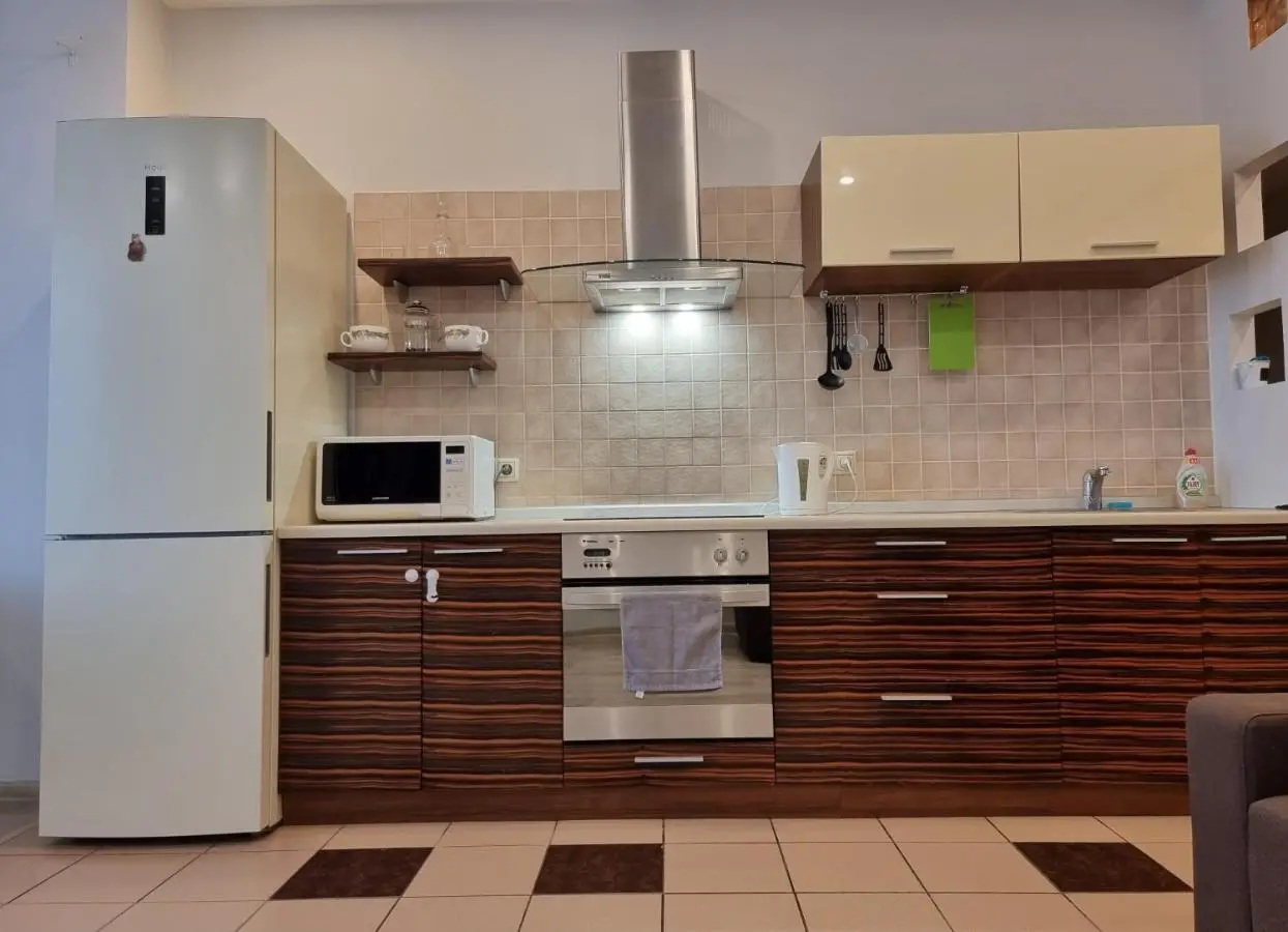 Новосибирск: Salvador Apartments City Center Frunze 18