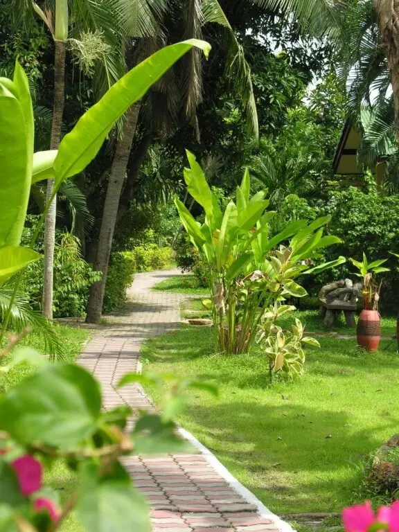 Самуи: Samui Beach Resort